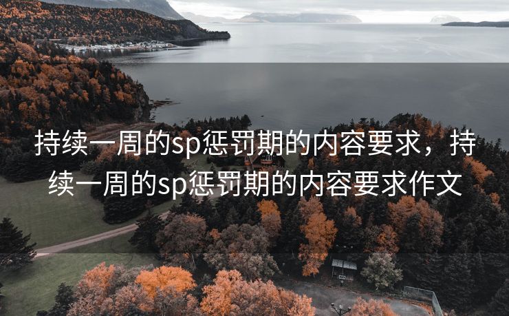 持续一周的sp惩罚期的内容要求，持续一周的sp惩罚期的内容要求作文