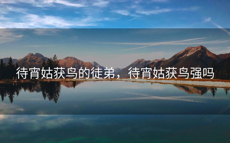 待宵姑获鸟的徒弟，待宵姑获鸟强吗