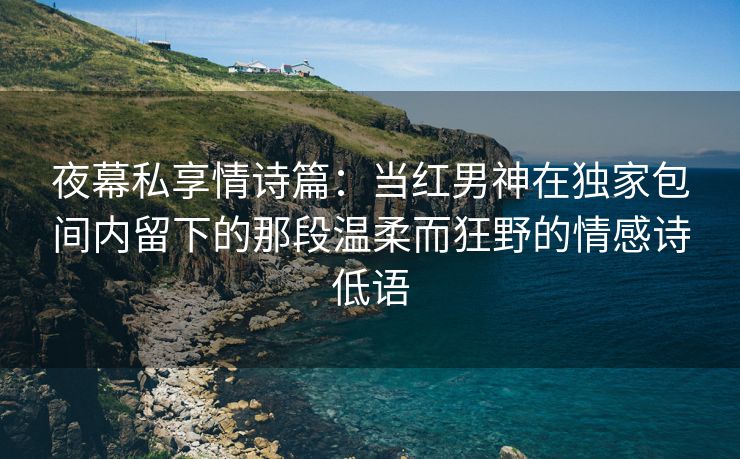夜幕私享情诗篇：当红男神在独家包间内留下的那段温柔而狂野的情感诗低语