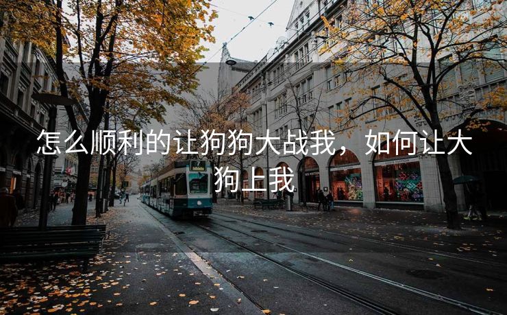 怎么顺利的让狗狗大战我，如何让大狗上我