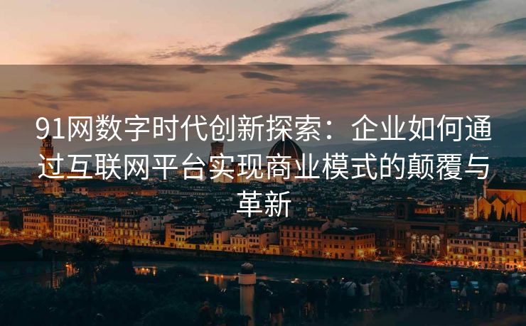 91网数字时代创新探索：企业如何通过互联网平台实现商业模式的颠覆与革新
