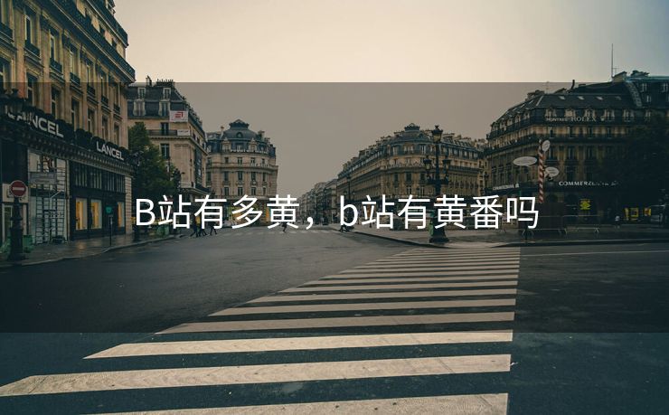 B站有多黄，b站有黄番吗